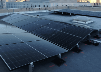 Université Richter Montpellier